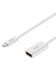 USB-C to DisplayPort Adapter | 4K Ultra HD – DA640